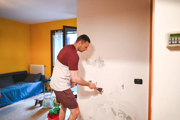 Best Basement Mold Remediation in , WY